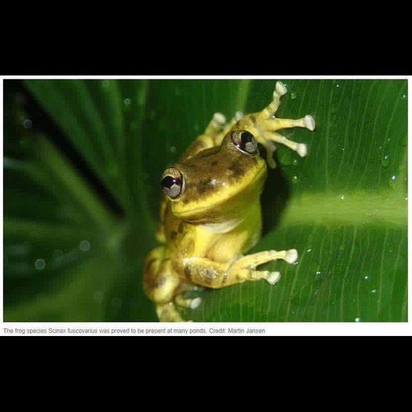 Meet your Posher, Tonya - Picture 2 of 2